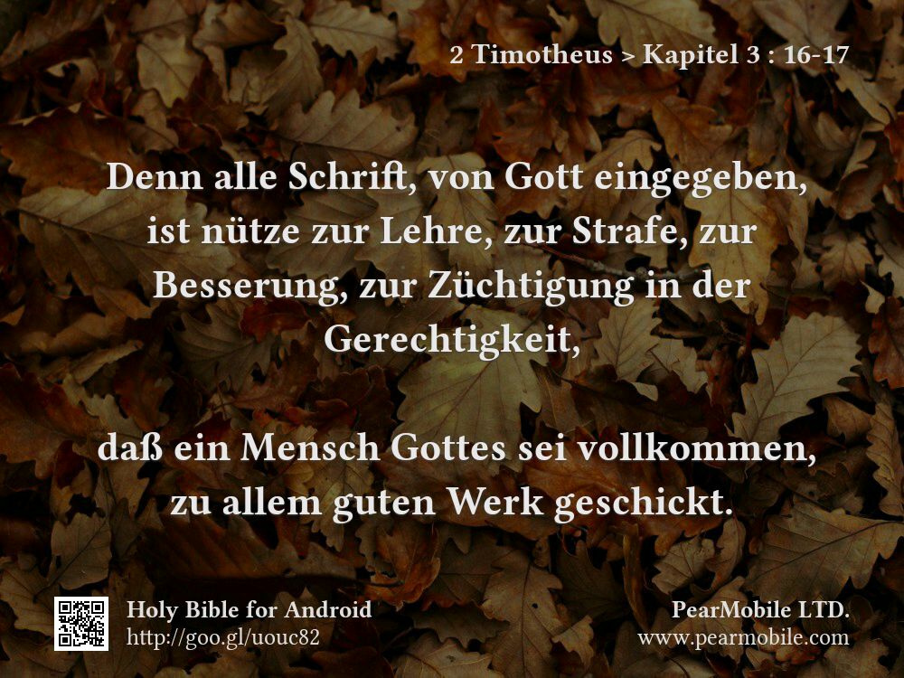 2 Timotheus, Kapitel 3:16-17